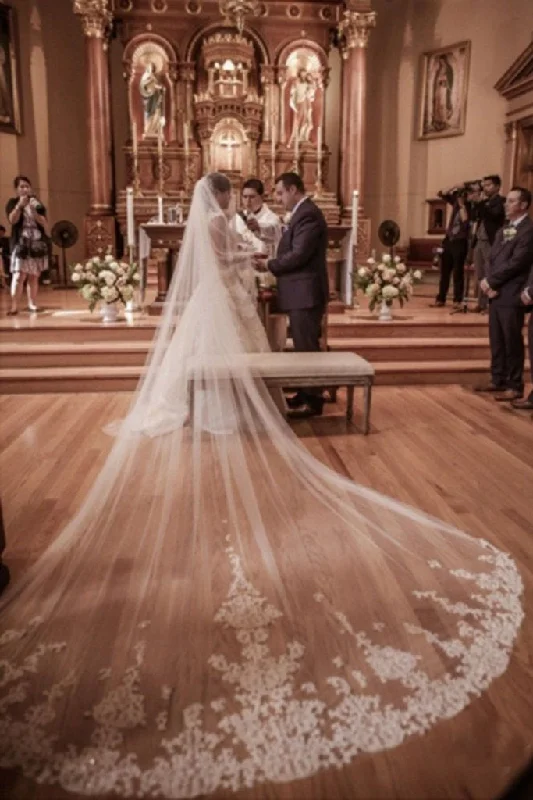 Angelic silhouetteFairy Tale Worthy One Layer Cathedral Length Lace Wedding Veils WV10