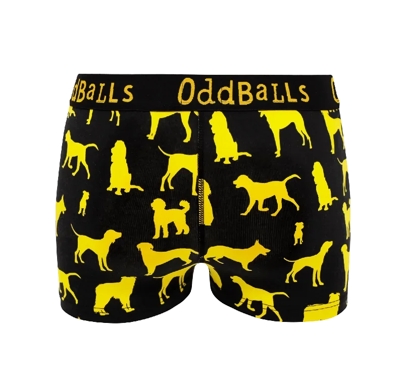 dogs-trust-ladies-boxers