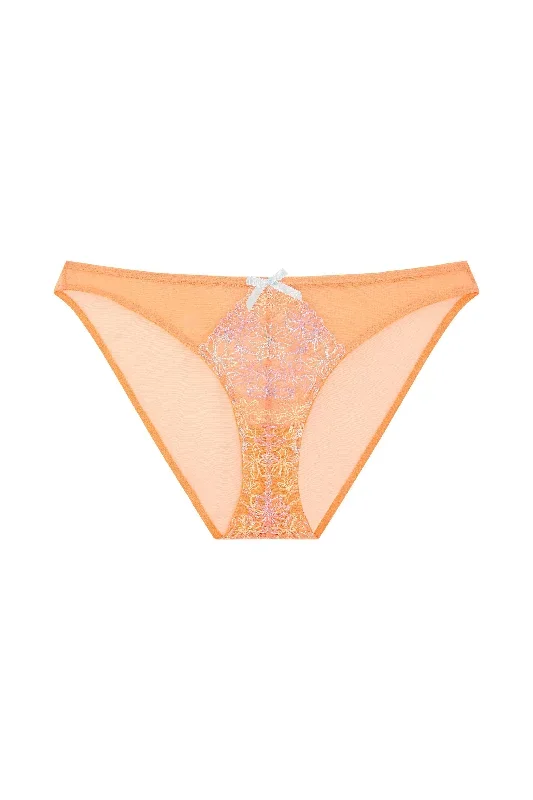 naomi-orange-floral-embroidered-brief